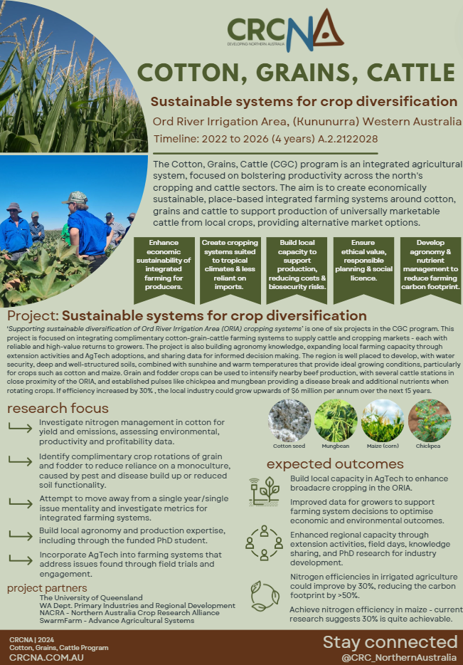 Cotton Grains Cattle Program Supporting Sustainable Diversification