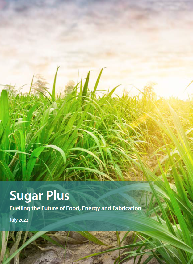 Cover of Sugar Plus document