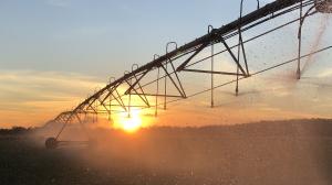 Pivot irrigation at sunset