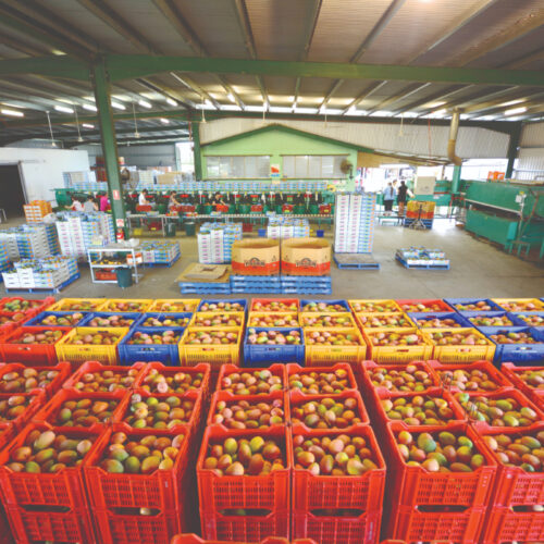 Exporting perishable commodities to Asia: Developing a stakeholder collaboration model