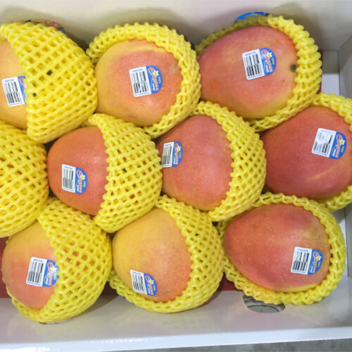 Sustainable export supply chains for Calypso mango to China