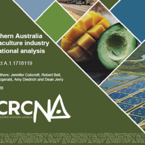 Northern Australia aquaculture industry situational analysis study