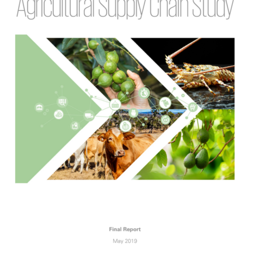 North Queensland market and agricultural supply chain study