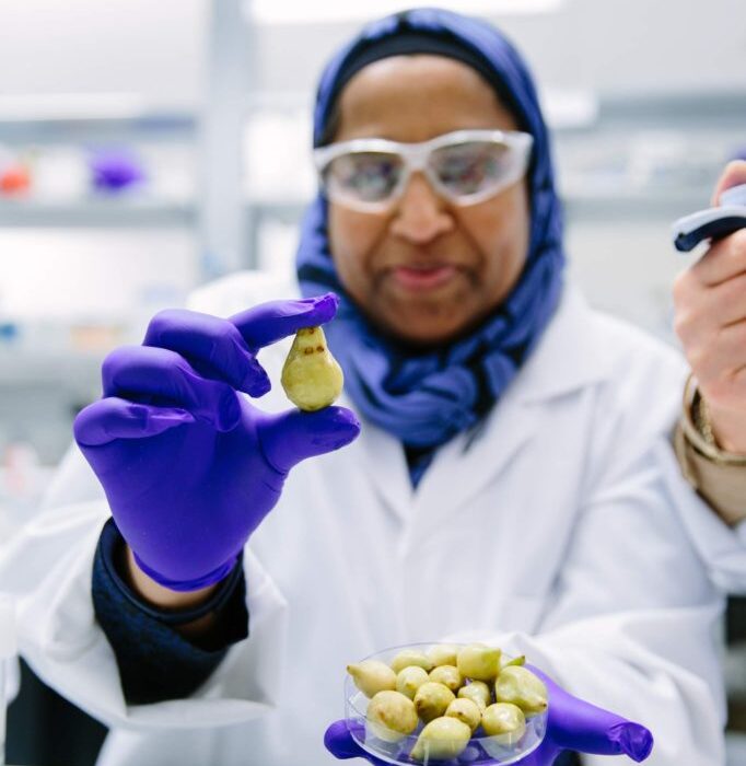 UQ QAAFI’s Dr Yasmina Sultanbawa.