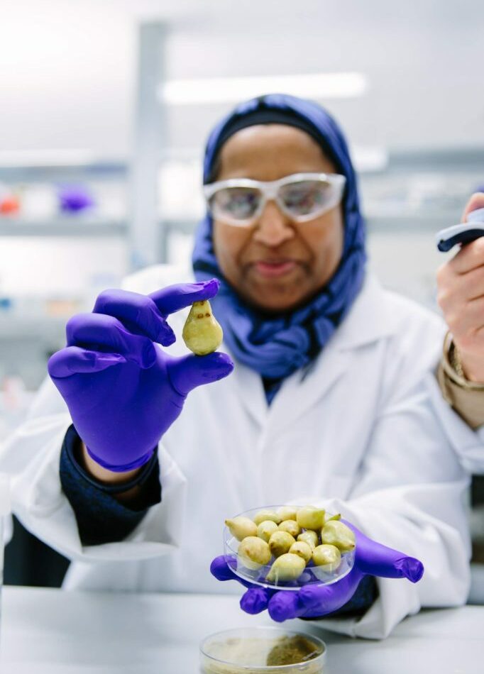 UQ QAAFI’s Dr Yasmina Sultanbawa.