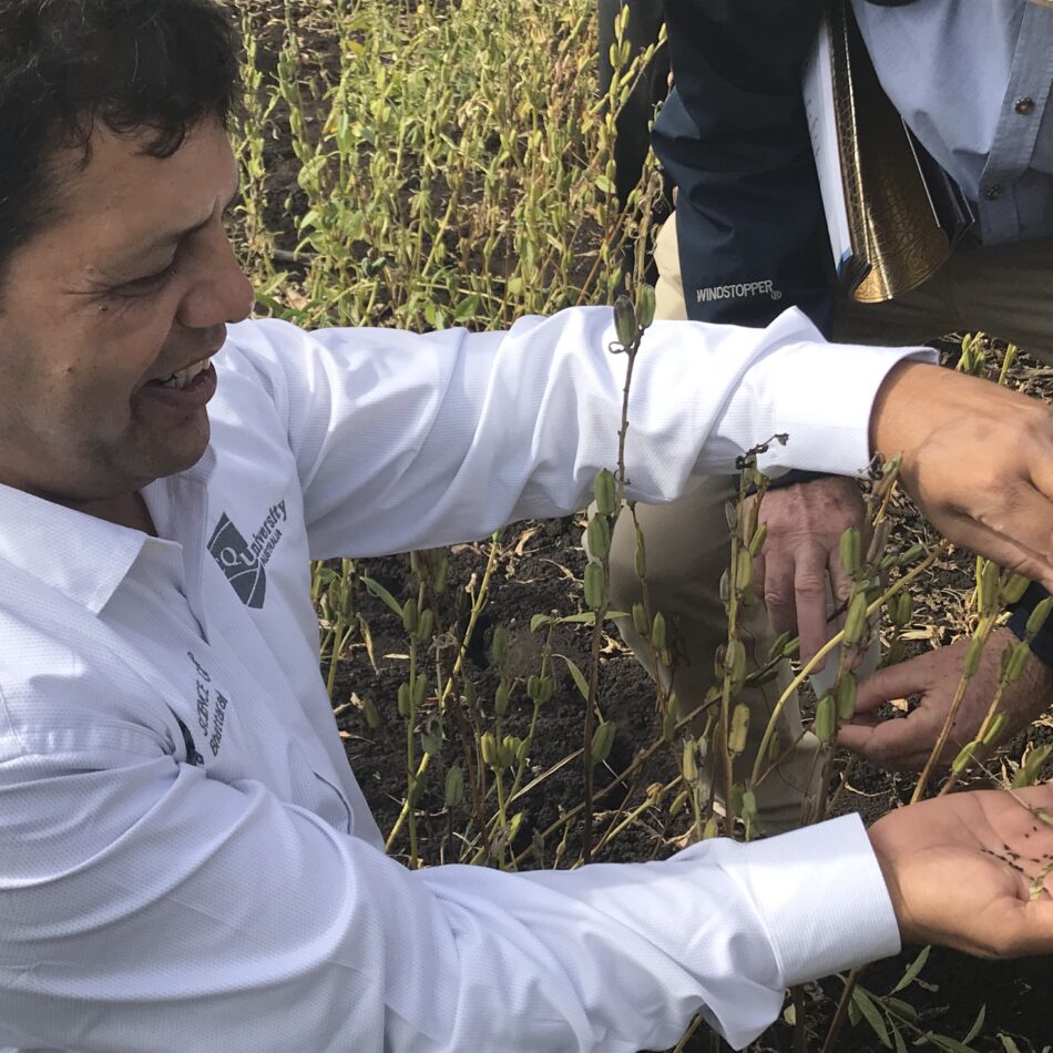 Man holding black sesame seeds