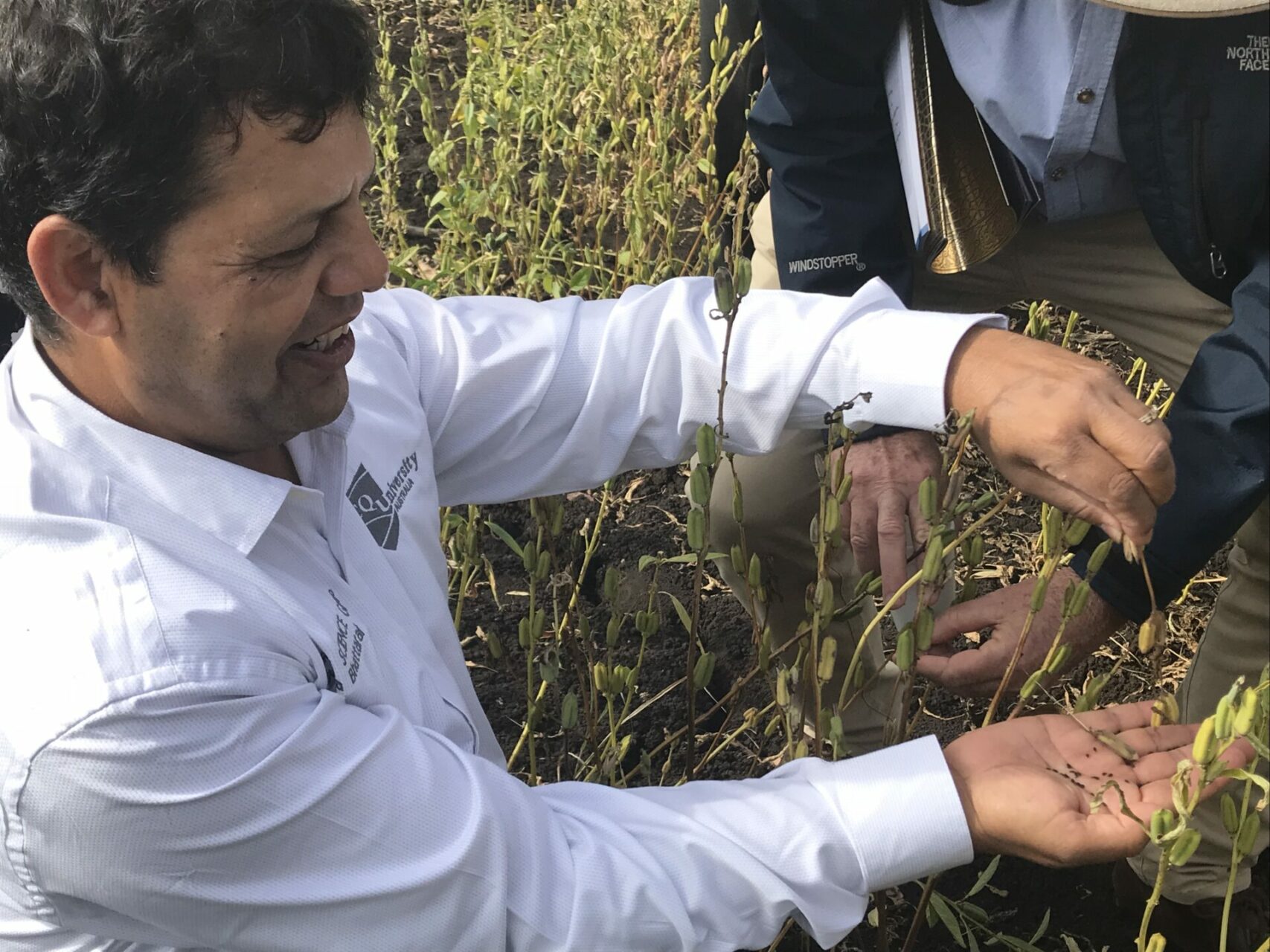 Man holding black sesame seeds