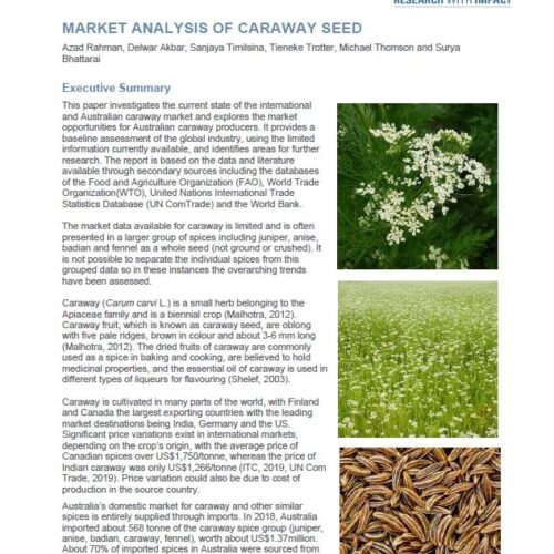 Market analysis of caraway seed