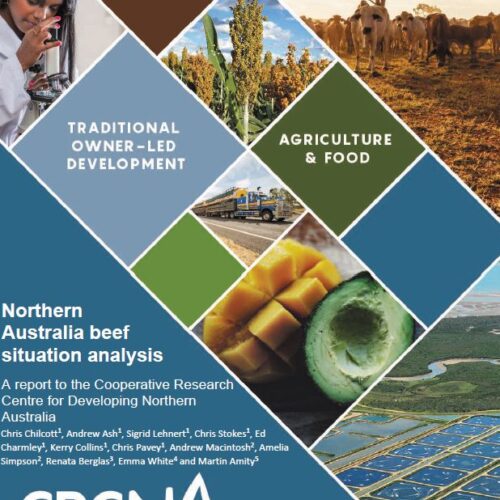 Northern Australia beef situation analysis. A report to the Cooperative Research Centre for Developing Northern Australia