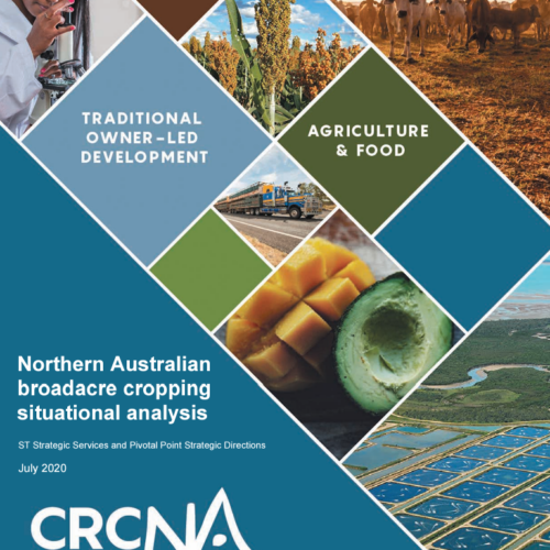 Northern Australian broadacre cropping situational analysis