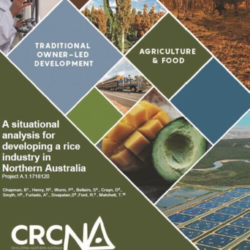 A situational analysis for developing a rice industry in Northern Australia – Final report