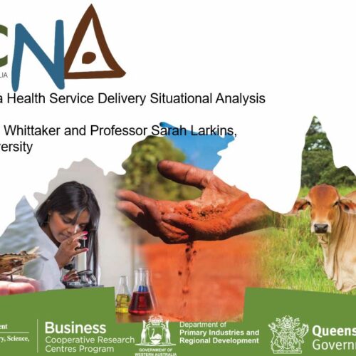 Northern Australia health service delivery situational analysis – webinar