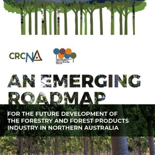 An emerging roadmap for the future development of the forestry and forest products industry in Northern Australia