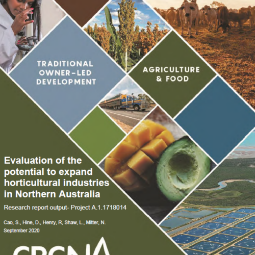 Evaluation of the potential to expand horticultural industries in Northern Australia