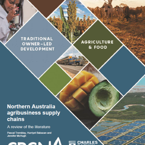 Northern Australia agribusiness supply chains: a review of the literature