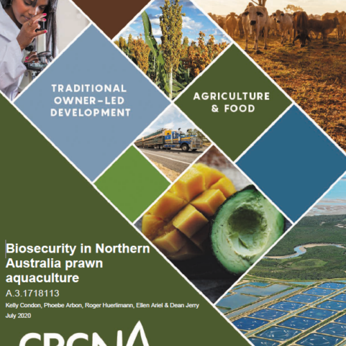 Biosecurity in Northern Australian prawn aquaculture