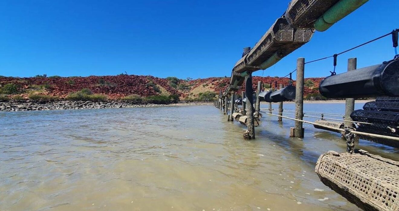 oyster farm in the Pilbara, WA