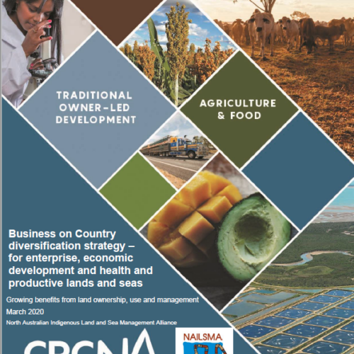 Business on Country diversification strategy for enterprise, economic development and health and productive lands and seas