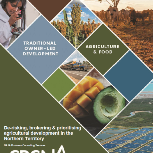 De-risking, brokering and prioritising agricultural development in the Northern Territory