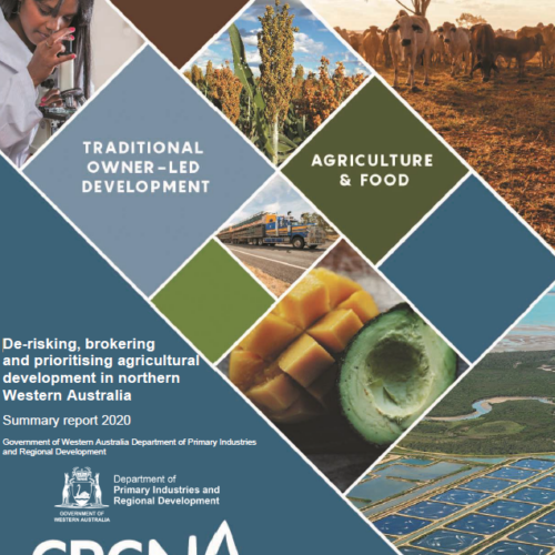 Summary report : De-risking, brokering and prioritising agricultural development in northern Western Australia