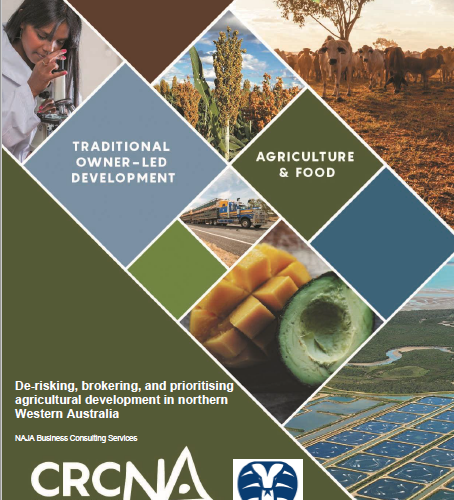 De-risking, brokering and prioritising agricultural development in northern Western Australia