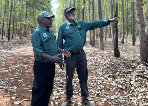 Maximising northern tropical forestry-linking communities and cutting-edge technology