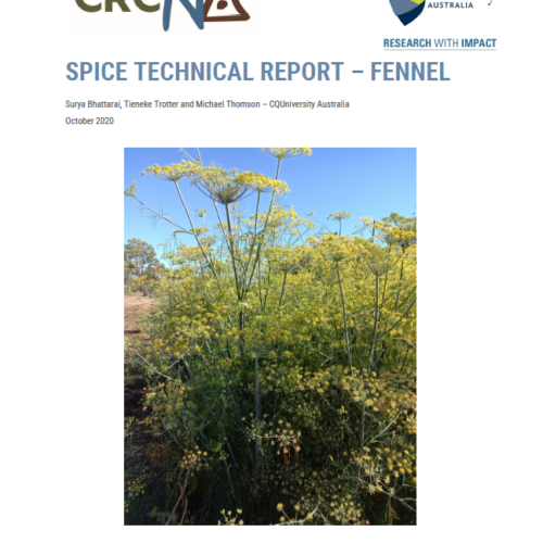 Fennel – Summer spice technical report