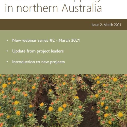 Broadacre cropping in Northern Australia newsletter Vol #2