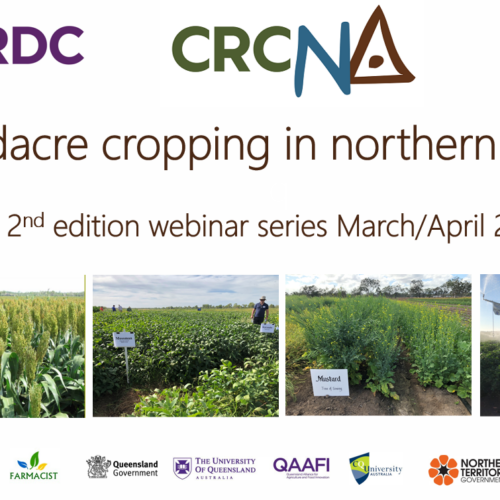 Potential for broadacre cropping in the NT – webinar
