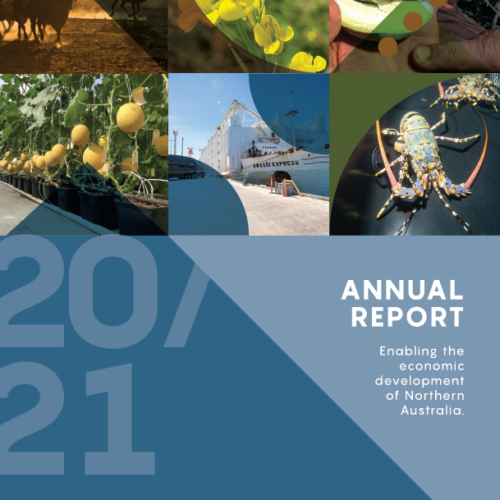 Annual Report 2020-21