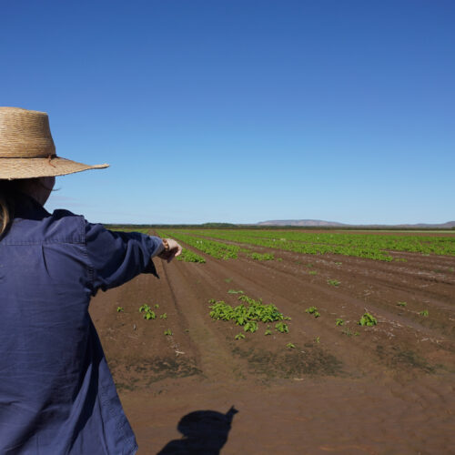 Supporting landholder capacity for quality agricultural development applications across Northern Australia