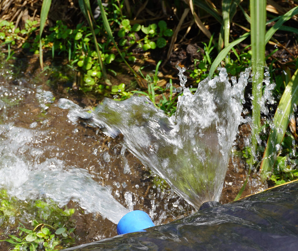 Making Water Work program image of irrigated agriculture