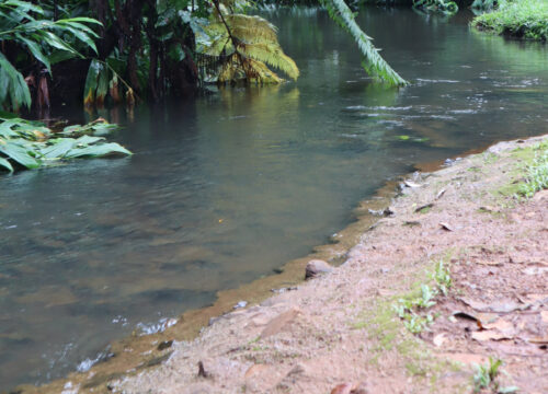 Activating First Nation Water Rights under the Cape York Water Plan