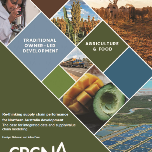 Discussion paper : Re-thinking supply chain performance for Northern Australia development