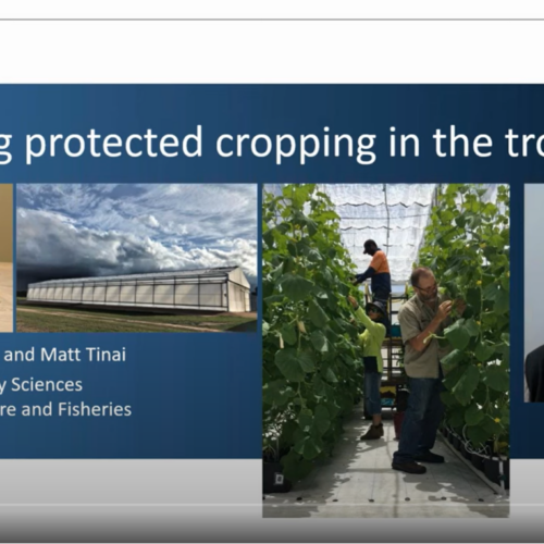 Considering protected cropping in the tropics?