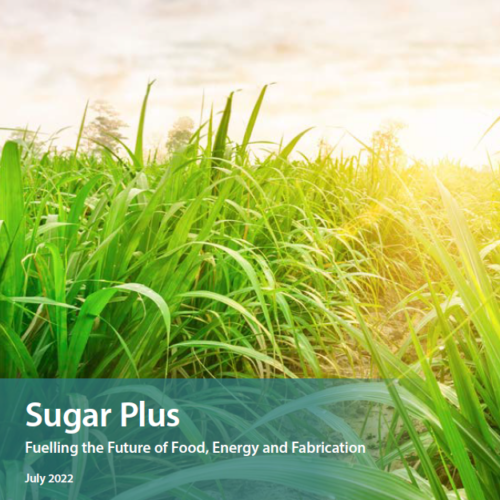 Sugar Plus: Fuelling the Future of Food, Energy and Fabrication