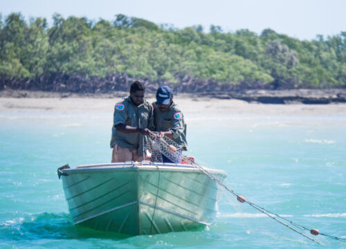 Unlocking the wealth of Indigenous knowledge and land ownership – seafood industry development