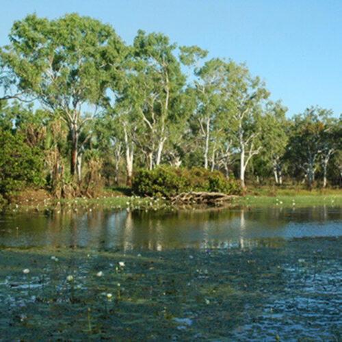 Co-design phase, Water security for Northern Australia Program