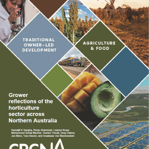 Grower reflections of horticulture in Northern Australia
