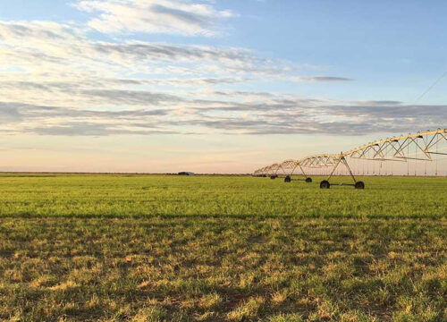 Making Water Work program: Mobilising strong water governance arrangements