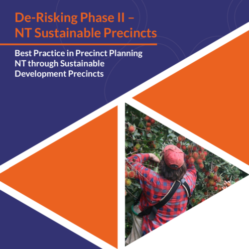 Best practice in Precinct Planning NT through sustainable development precincts