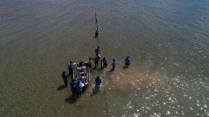 DAC Anindilyakwa rangers installing Hexcyl oyster longline infrastructure - Groote Eylandt. Photo Samantha Nowland, ALSR