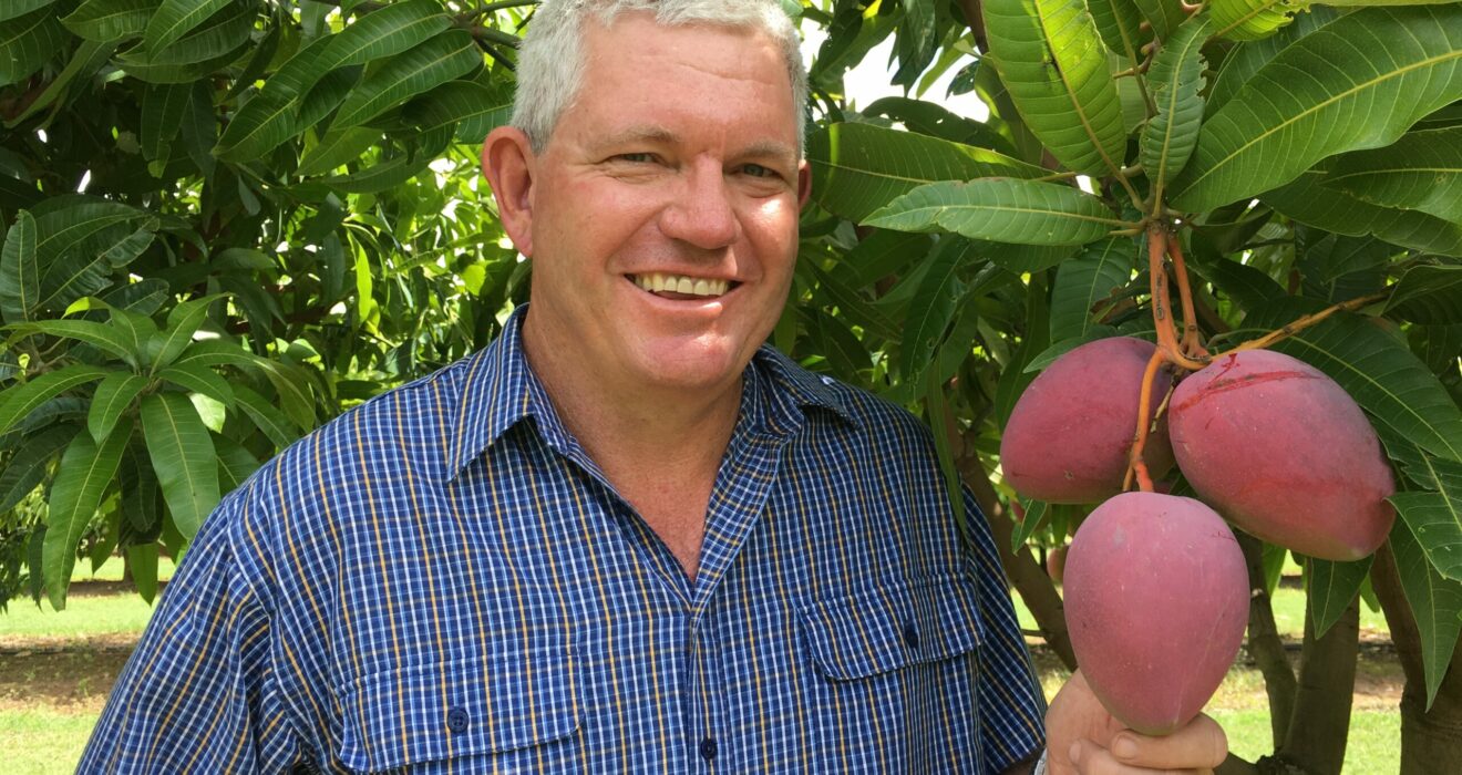 Dr Geoff Dickinson standing next to a mango tree