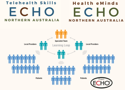 Project ECHO: Health eMinds and Telehealth Skills