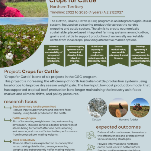 Cotton, Grains, Cattle program: Crops for Cattle (NT)