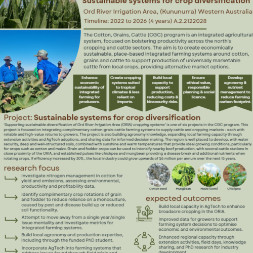 Cotton, Grains, Cattle program: Supporting sustainable diversification of Ord River Irrigation Area (ORIA) cropping systems
