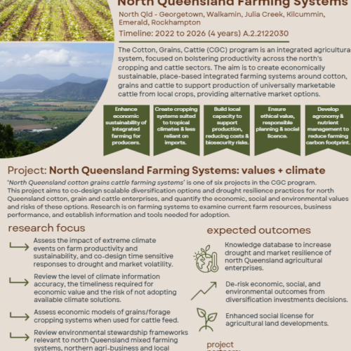 Cotton Grains Cattle program – North Queensland cotton grains cattle farming systems