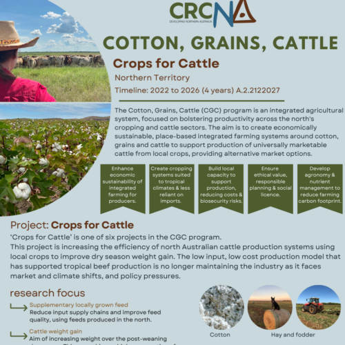 Cotton, Grains, Cattle program: Crops for Cattle (NT)