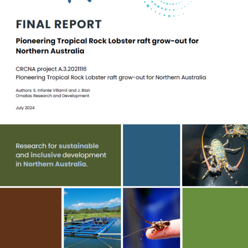 Pioneering Tropical Rock Lobster Raft Grow-out for Northern Australia – Final Report