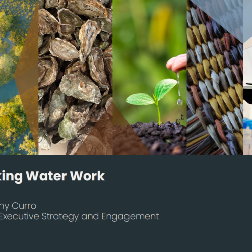 Agricultural Leaders: CRCNA presentation Making Water Work program